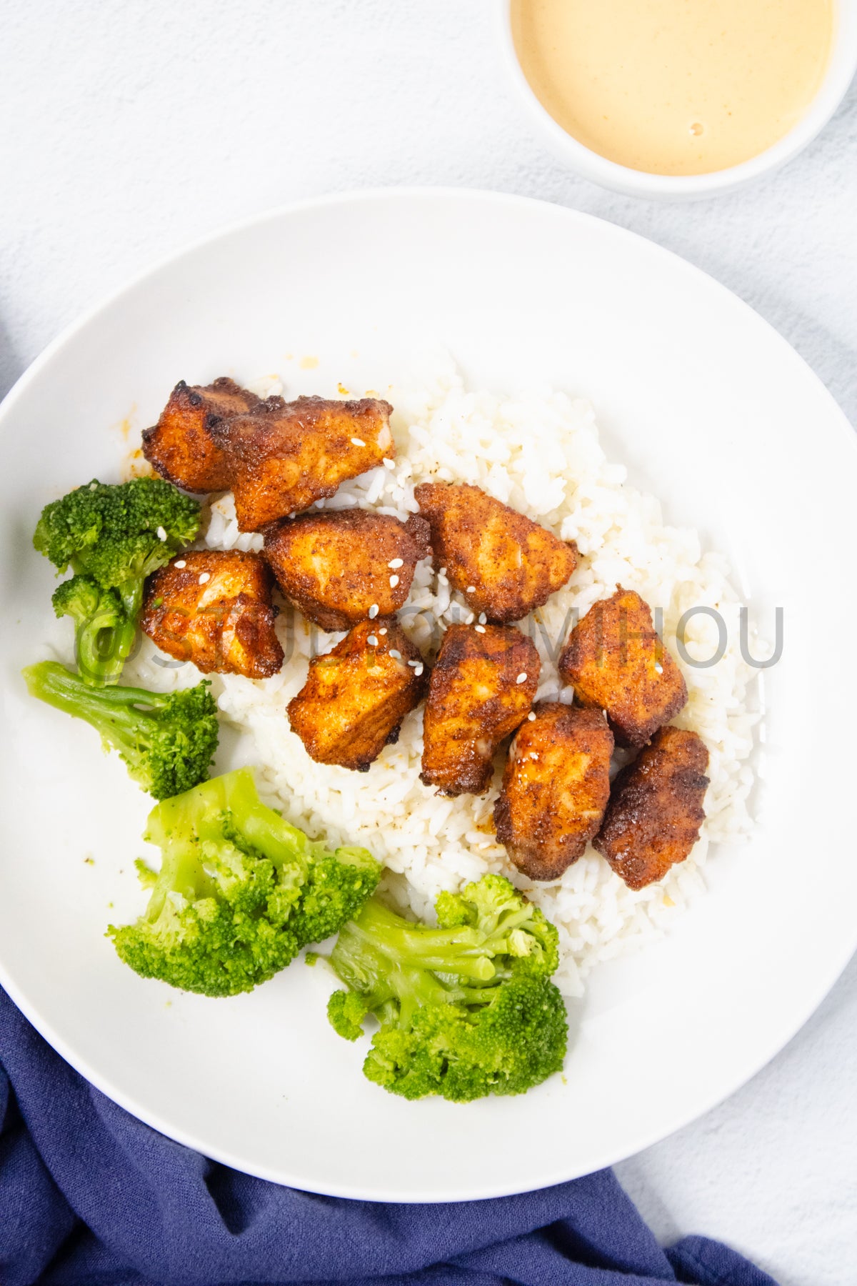 Semi-Exclusive Air Fryer Salmon Bites on Linen