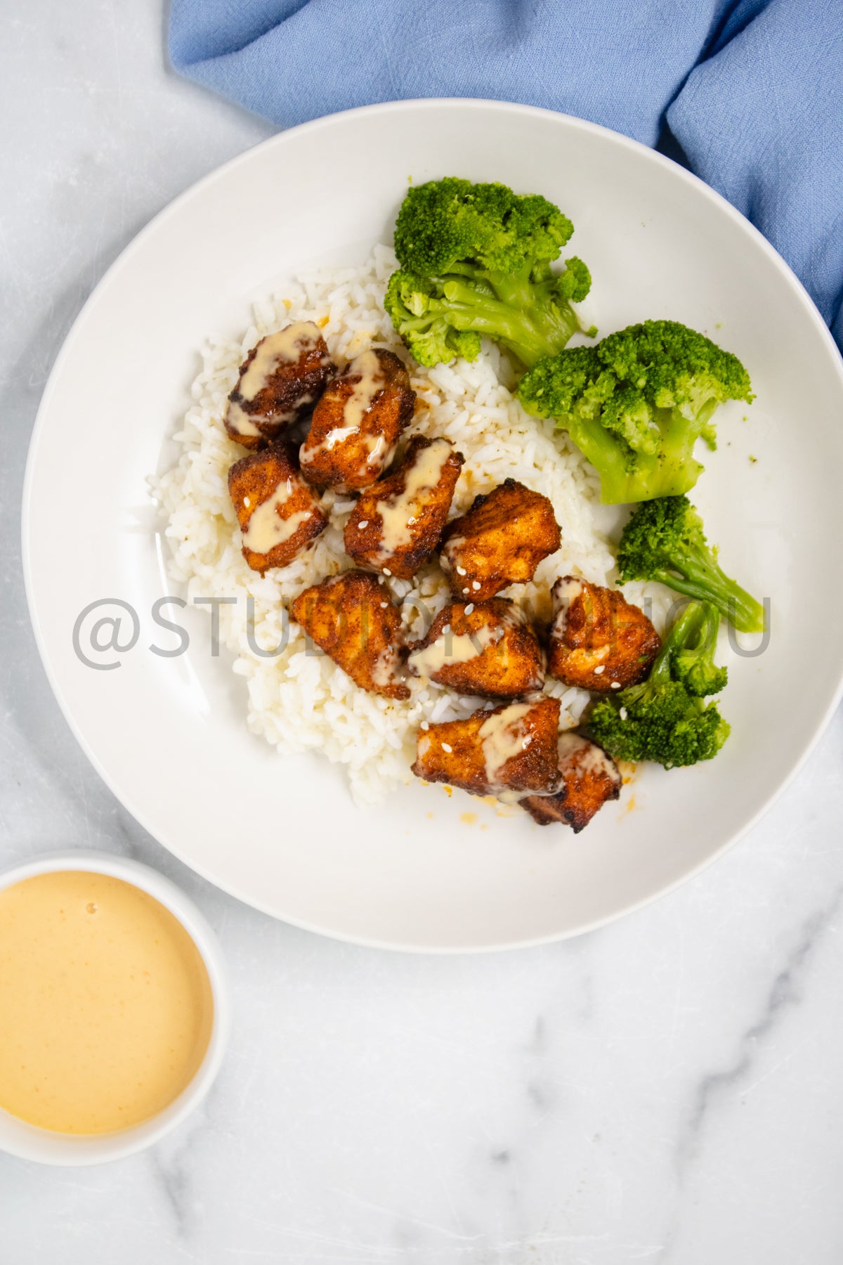 Semi-Exclusive Air Fryer Salmon Bites on Marble