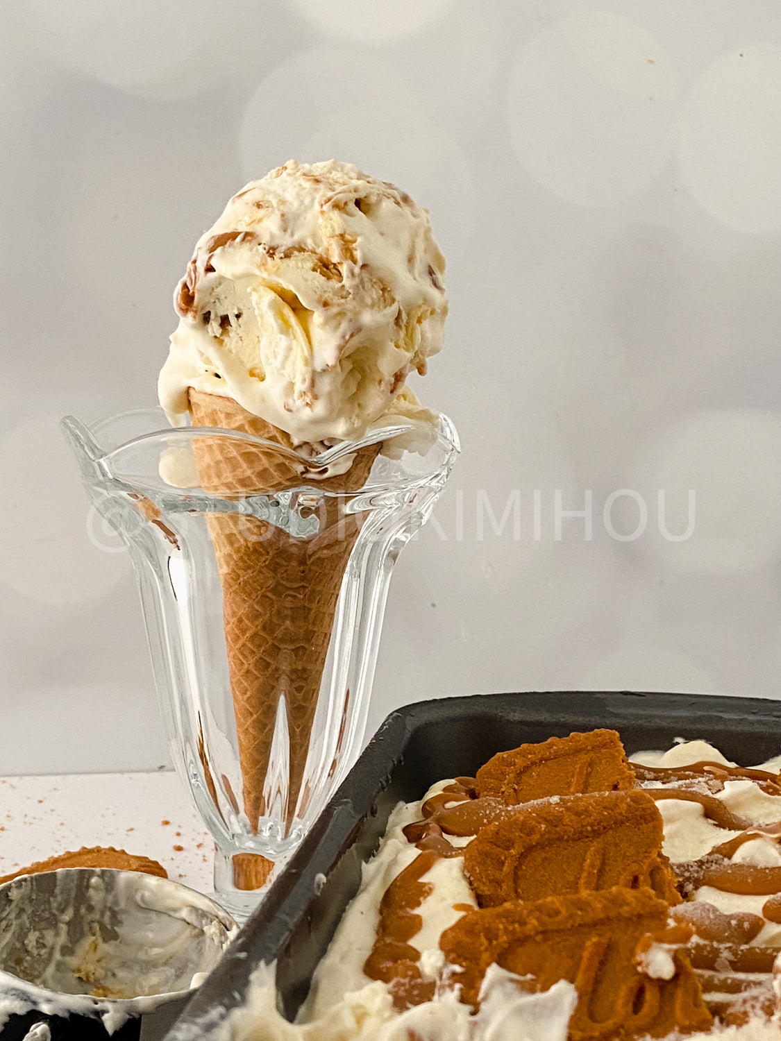PLR- Biscoff Cheesecake Ice Cream