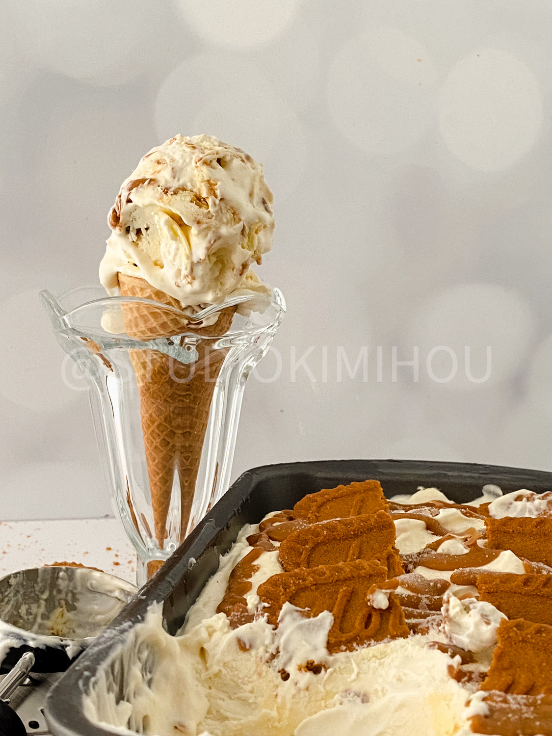 PLR- Biscoff Cheesecake Ice Cream