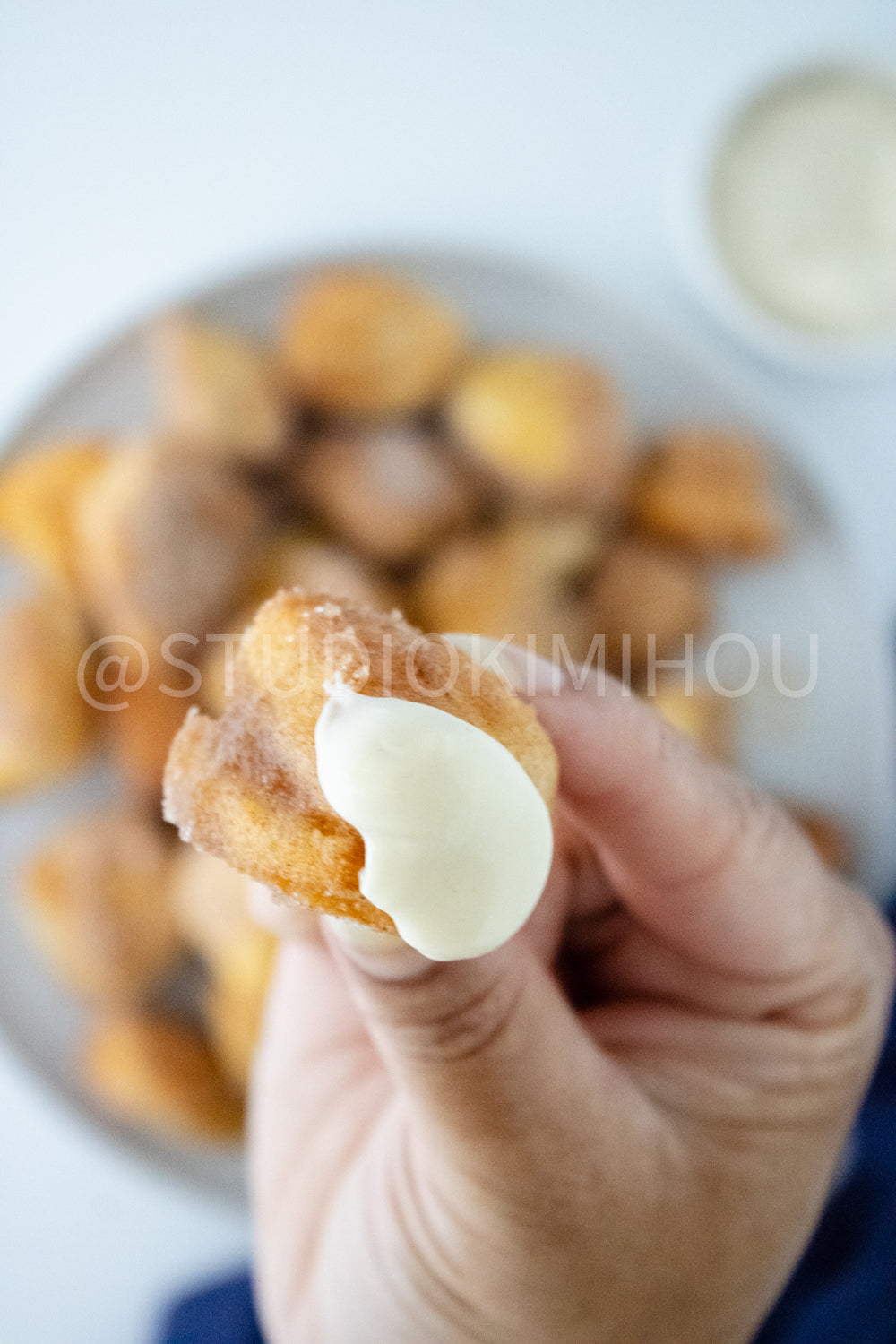 PLR- Air Fryer Cinnamon Bites