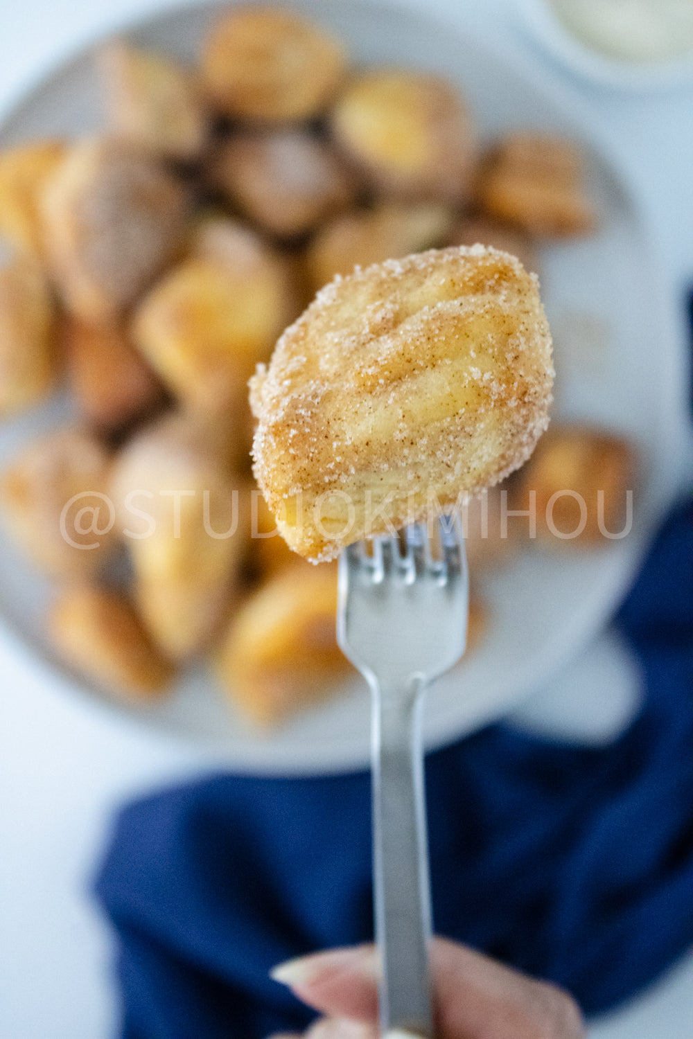 PLR- Air Fryer Cinnamon Bites
