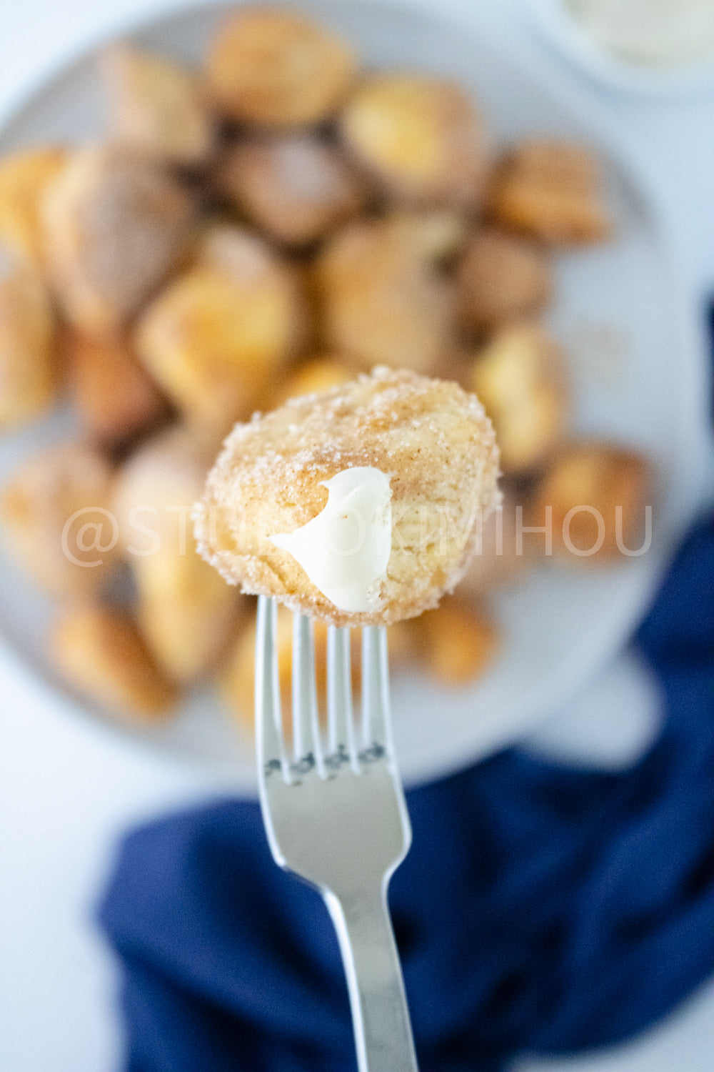 PLR- Air Fryer Cinnamon Bites