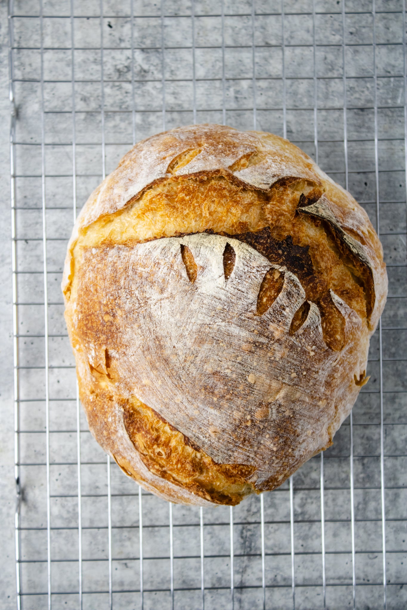Semi-Exclusive Sourdough Bread on Concrete