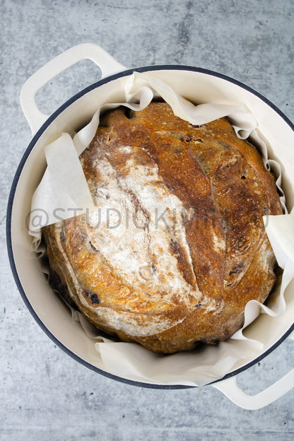 Semi-Exclusive Orange Cranberry Walnut Sourdough on Concrete