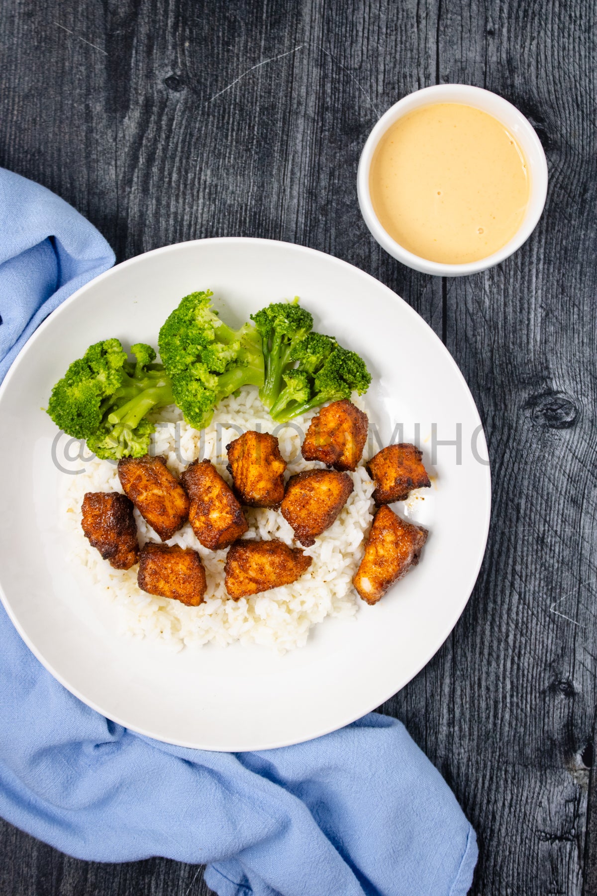 Semi-Exclusive Air Fryer Salmon Bites on Weathered Wood
