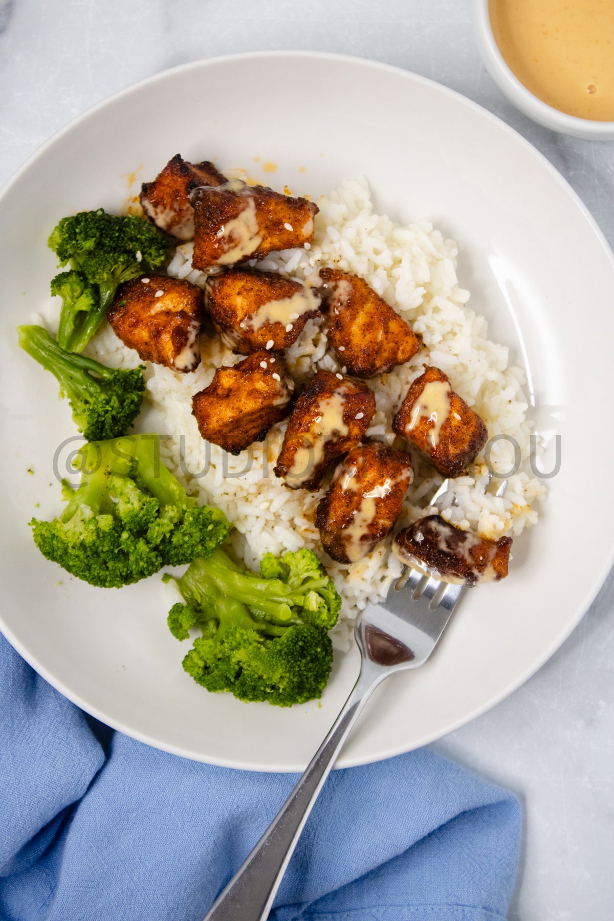 Semi-Exclusive Air Fryer Salmon Bites on Marble