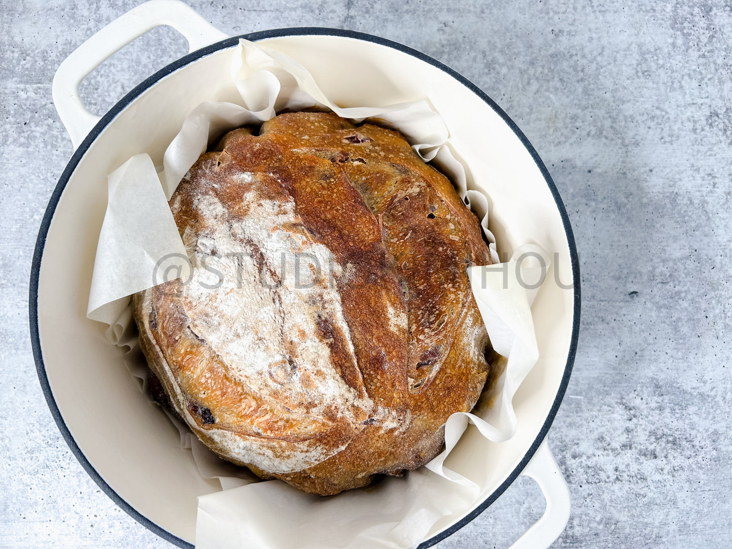 Semi-Exclusive Orange Cranberry Walnut Sourdough on Concrete