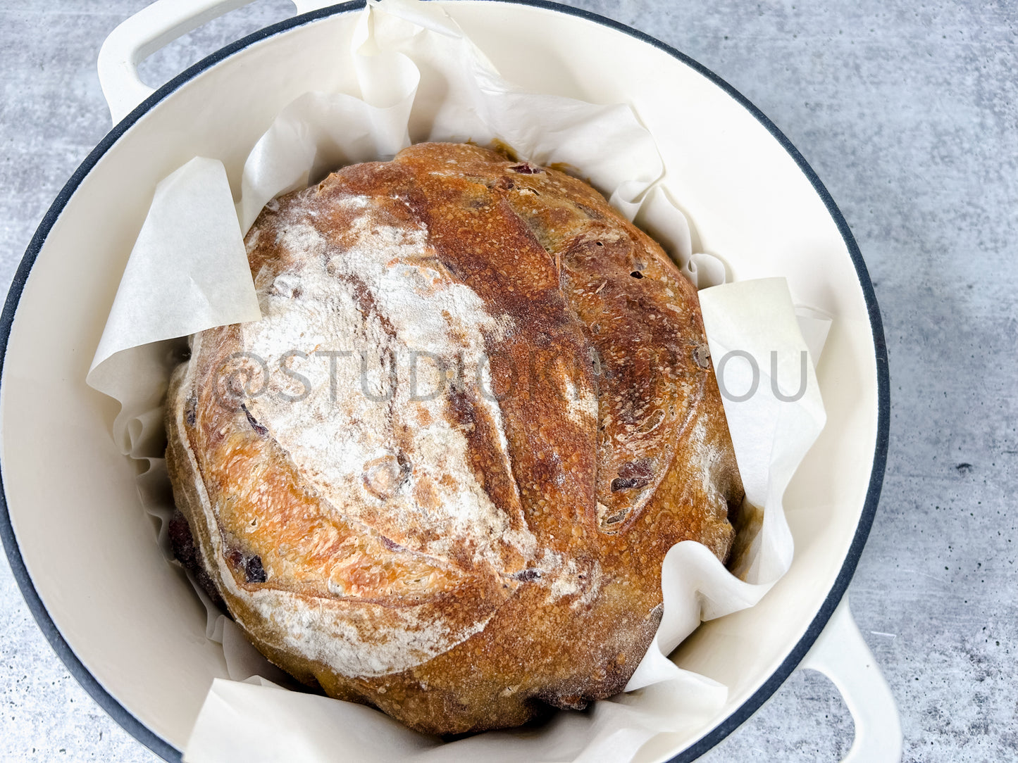 Semi-Exclusive Orange Cranberry Walnut Sourdough on Concrete